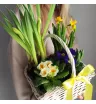 Первоцветы в корзине Ранняя пташка  2