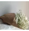 Букет из гипсофилы Летние каникулы 3