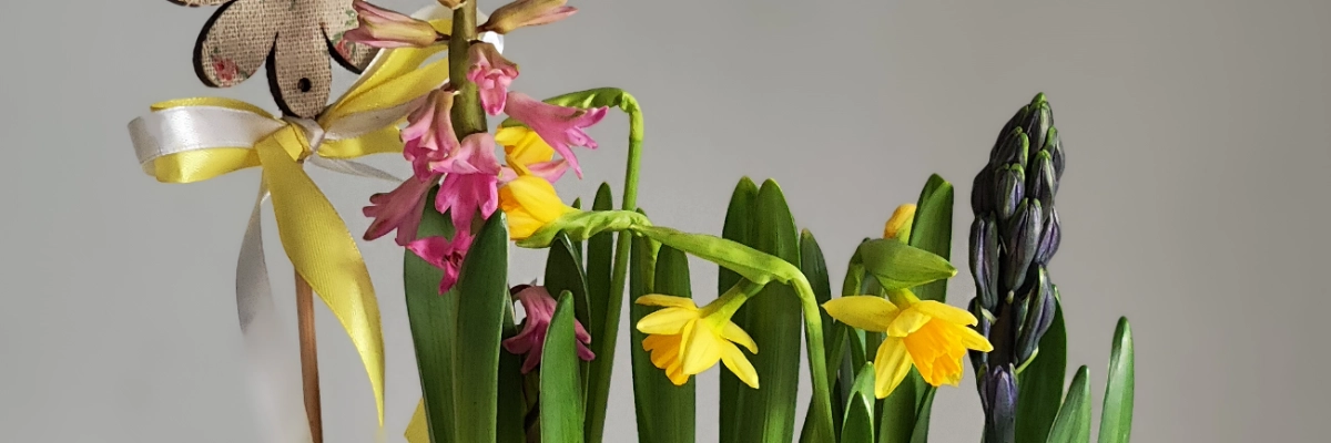  САДИКИ С ПЕРВОЦВЕТАМИ 